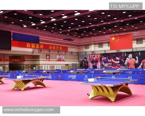 南京乒乓球队在联赛中的状态分析与表现评估